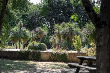 Parc Floral de Bordeaux (1).
